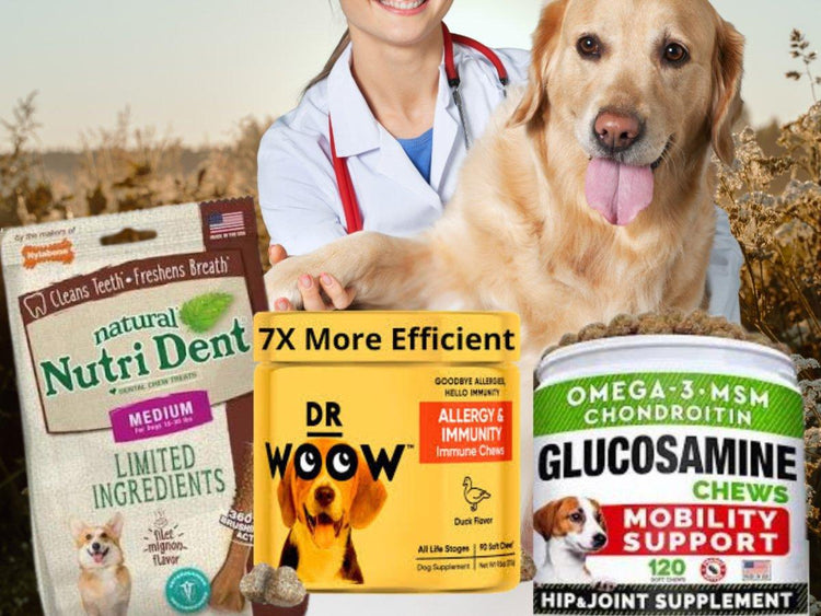 π Health & Wellness Products πΏβ€οΈ