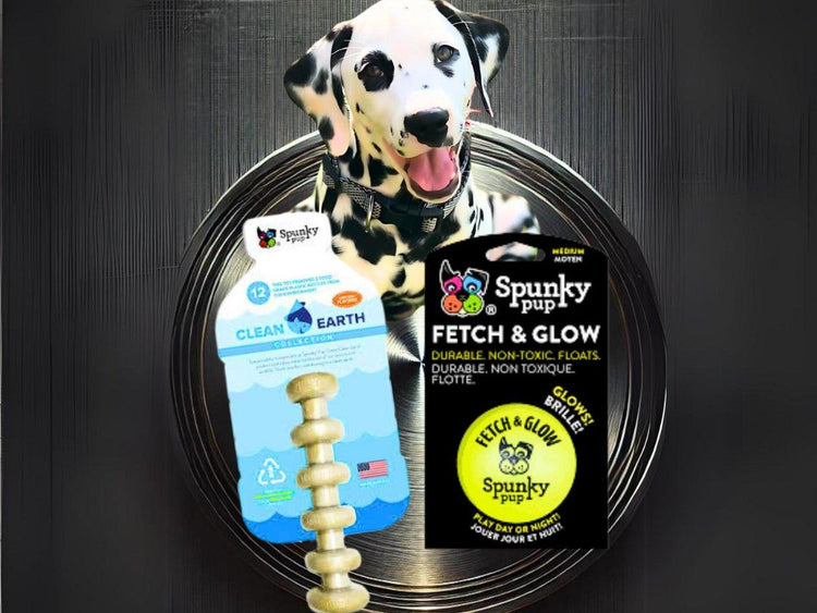 πΎ Dog Toys Collection πβοΈ