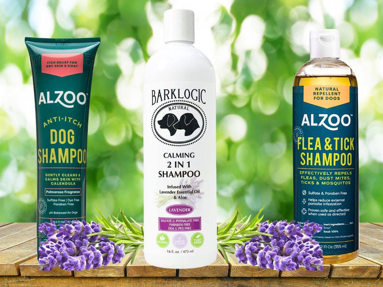 π Dog Grooming Products βοΈπΎ