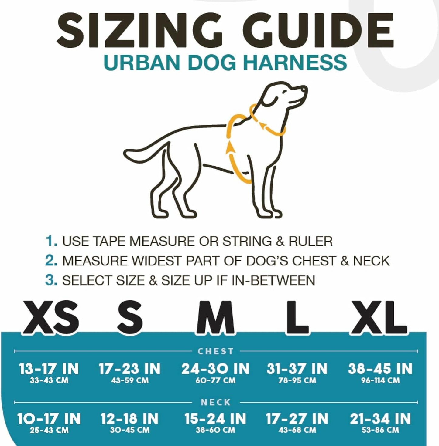 Embark Urban Dog Harness No-Pull Dog Harness for Small Dogs, Medium & Large. 2 Leash Clips, Front & Back with Control Handle, Adjustable Black Dog Vest for Any Breed, Soft & Padded for Comfort