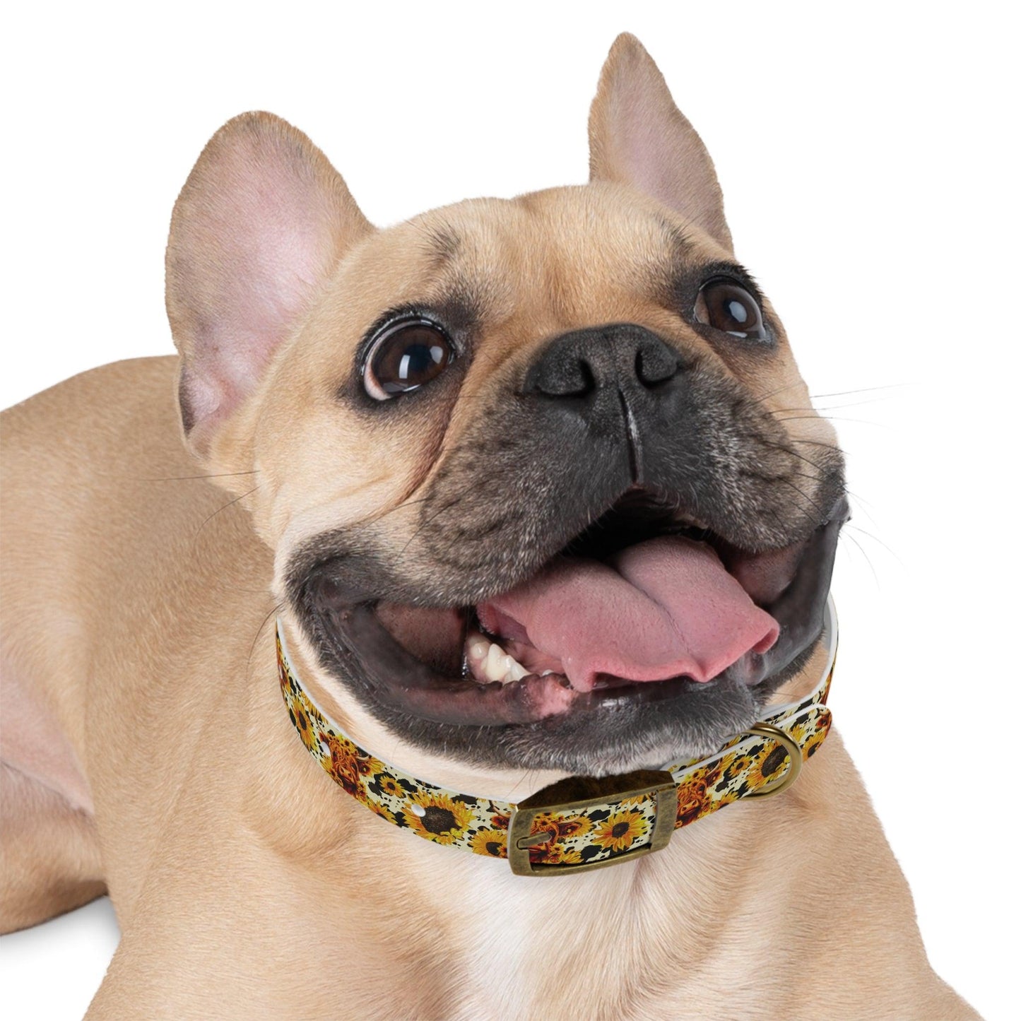 Sunshine Moo: Fluffy Cow and Sunflower Dog Collar