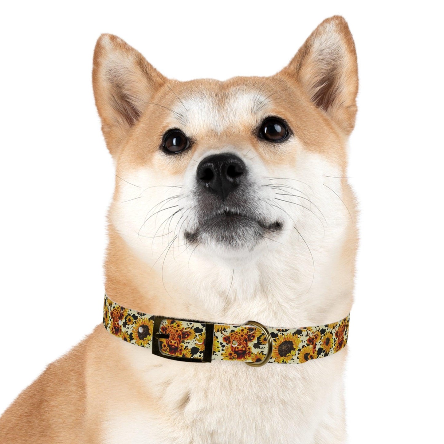 Sunshine Moo: Fluffy Cow and Sunflower Dog Collar