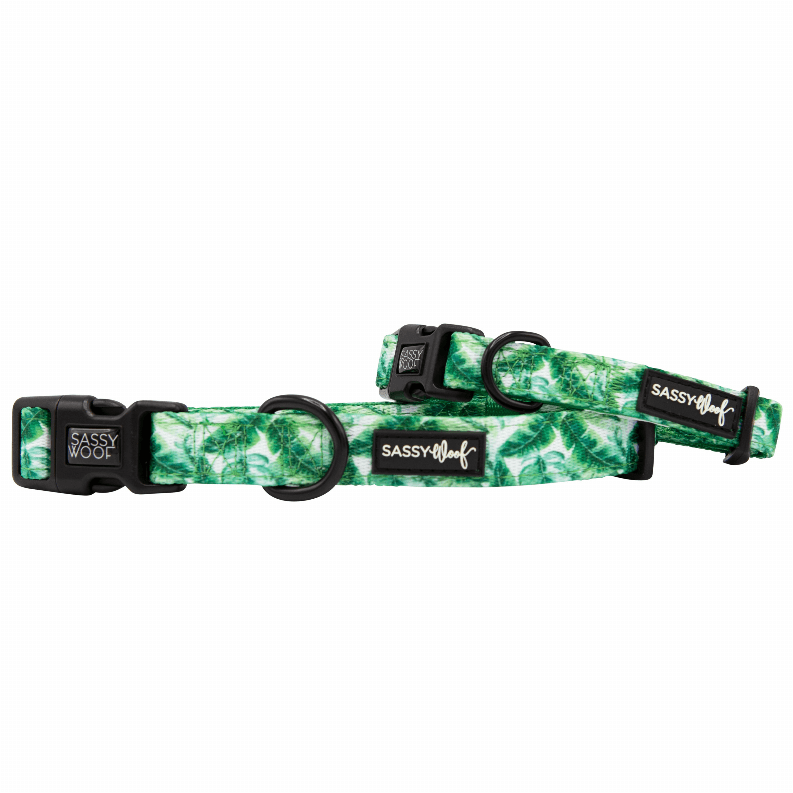 Unique Neoprene Adjustable Collars