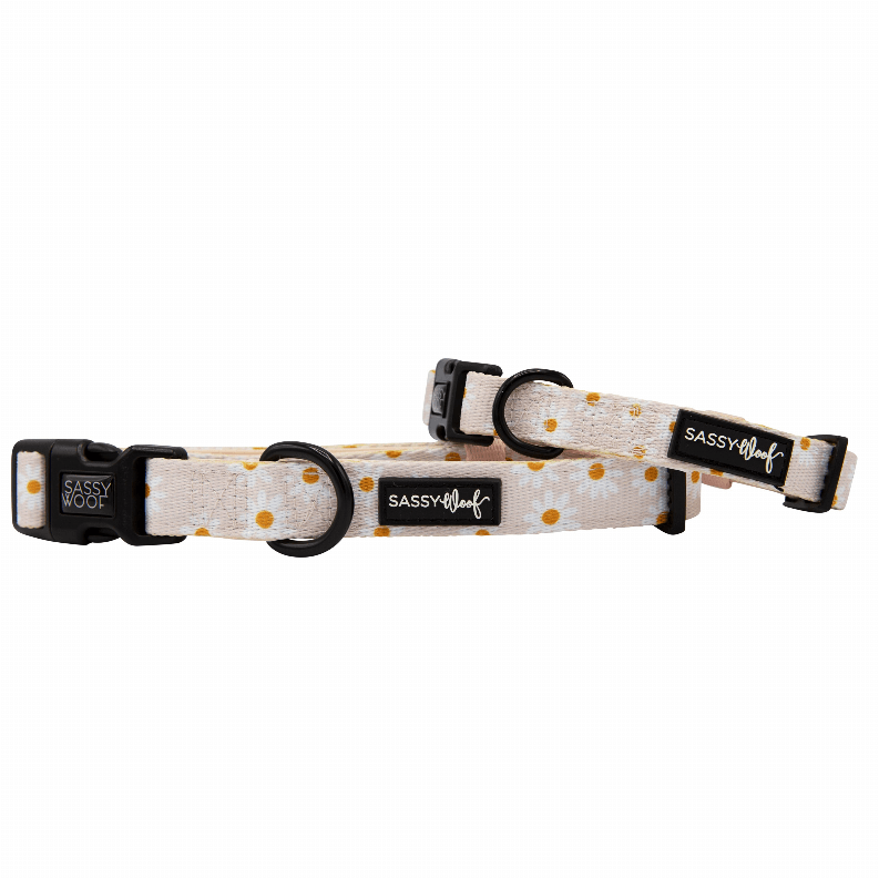 Unique Neoprene Adjustable Collars