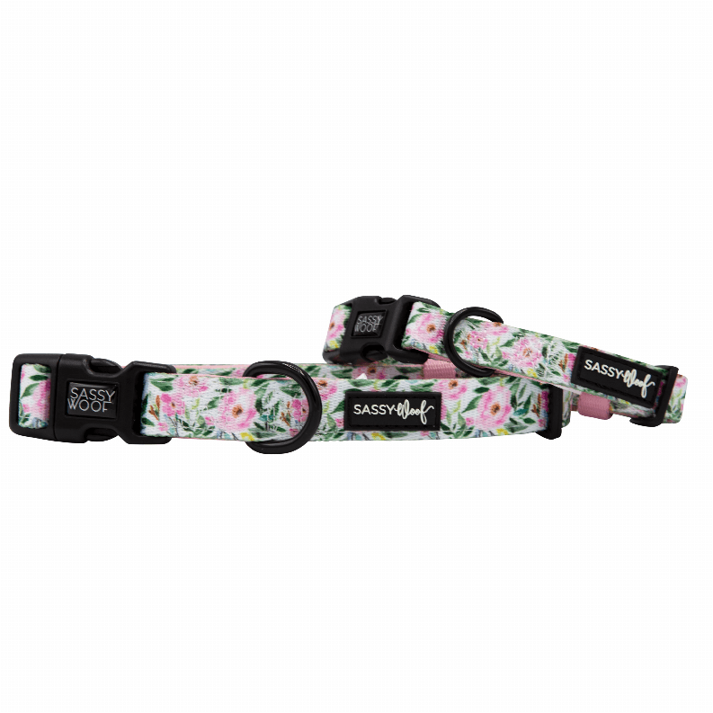 Unique Neoprene Adjustable Collars