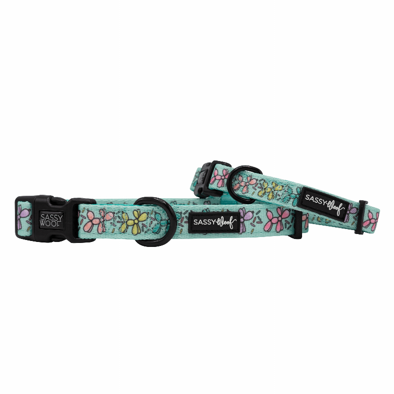 Unique Neoprene Adjustable Collars
