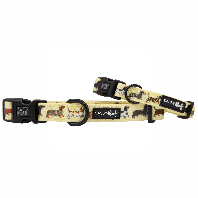 Unique Neoprene Adjustable Collars