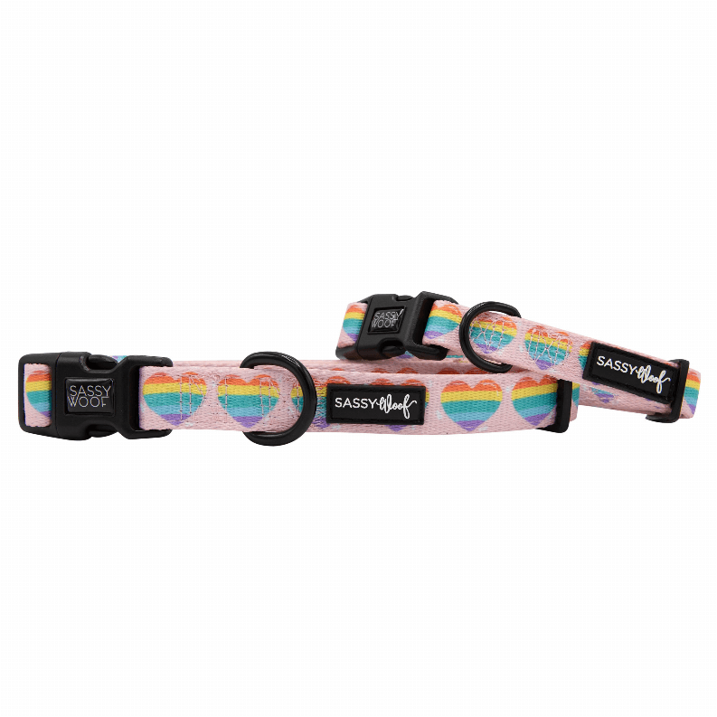 Unique Neoprene Adjustable Collars