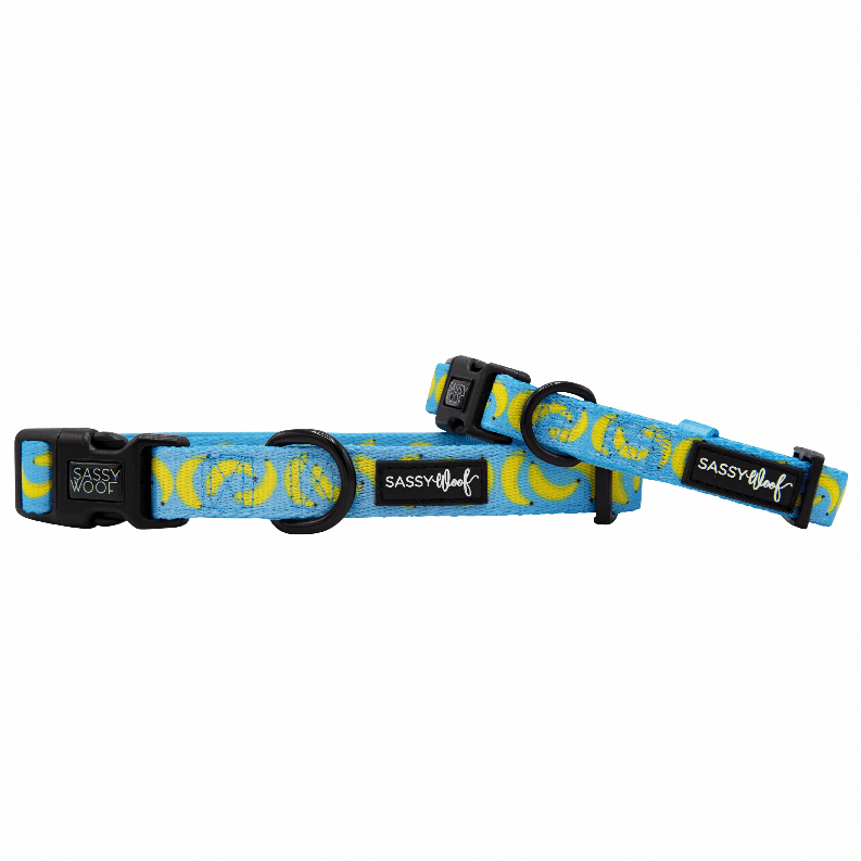 Unique Neoprene Adjustable Collars