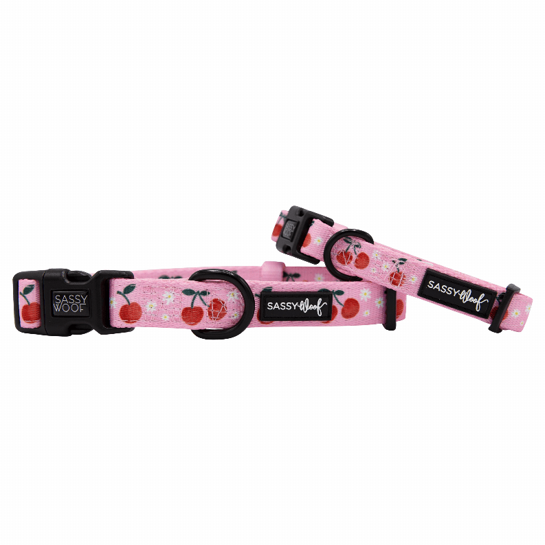 Unique Neoprene Adjustable Collars