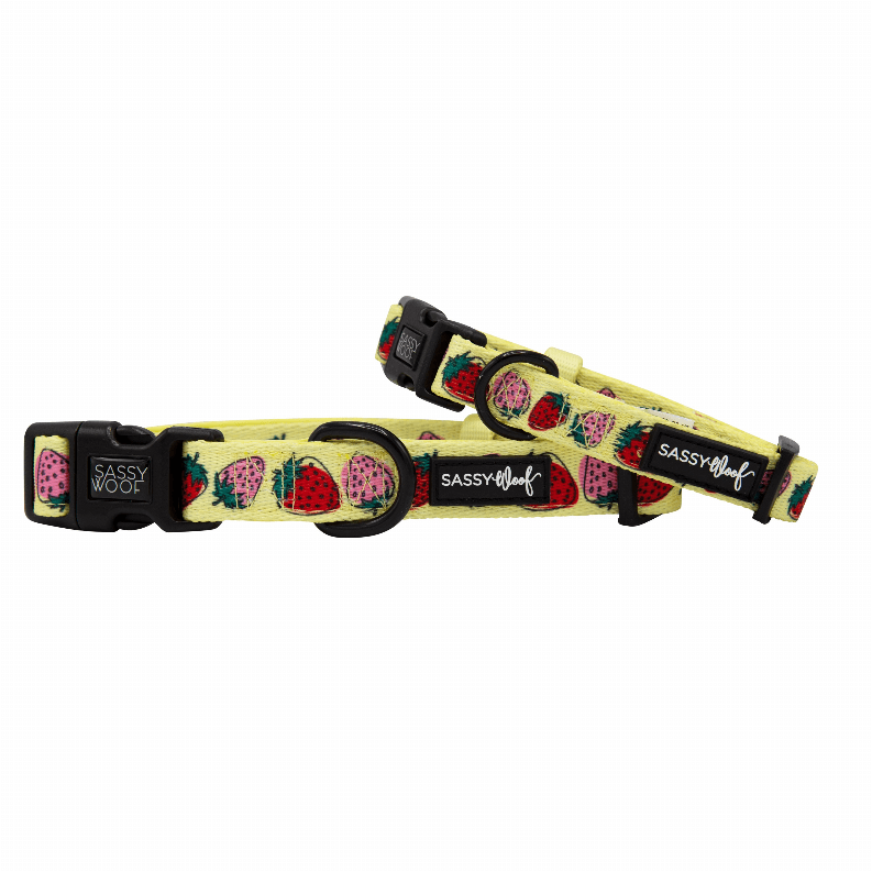 Unique Neoprene Adjustable Collars