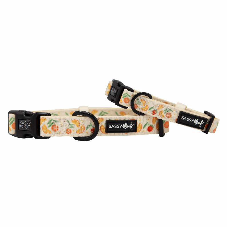 Unique Neoprene Adjustable Collars