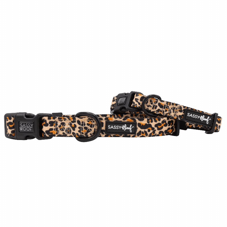 Unique Neoprene Adjustable Collars
