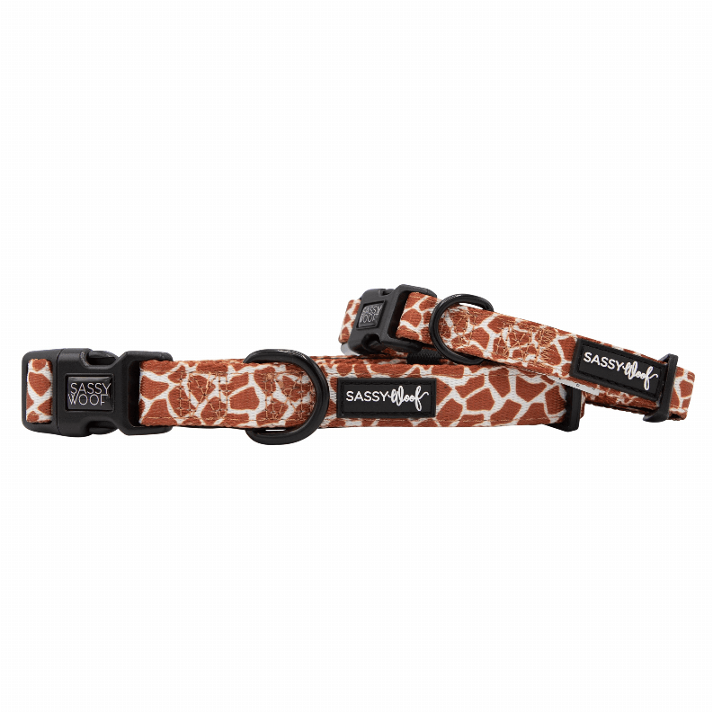 Unique Neoprene Adjustable Collars