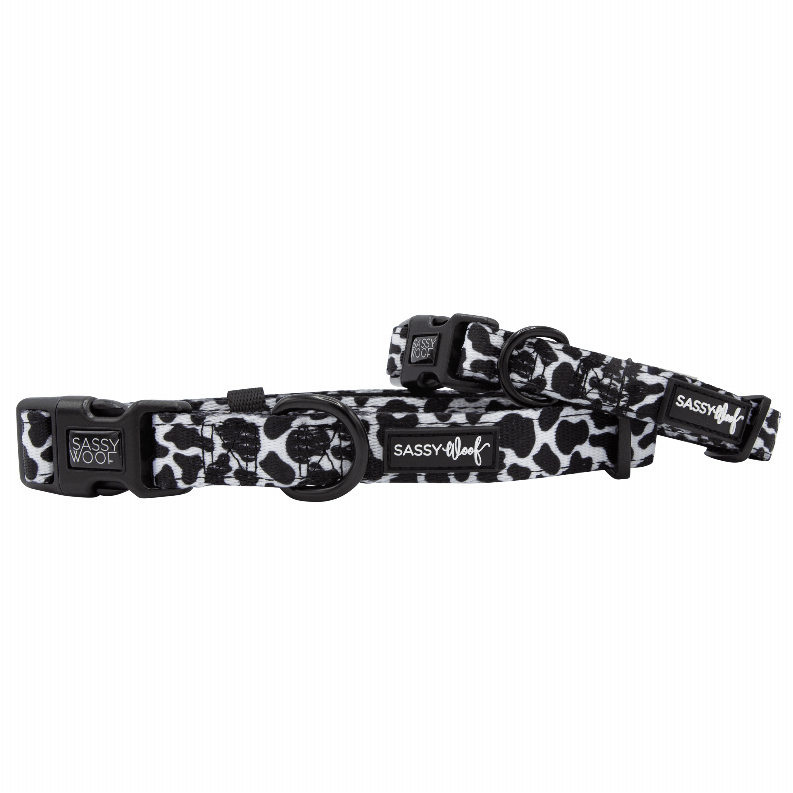 Unique Neoprene Adjustable Collars