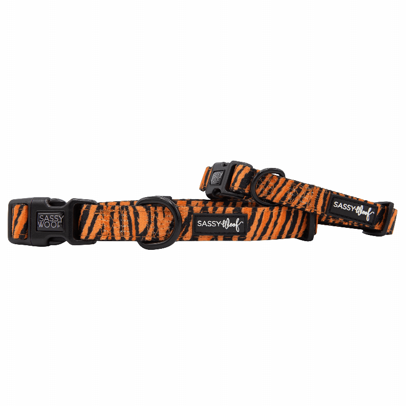 Unique Neoprene Adjustable Collars
