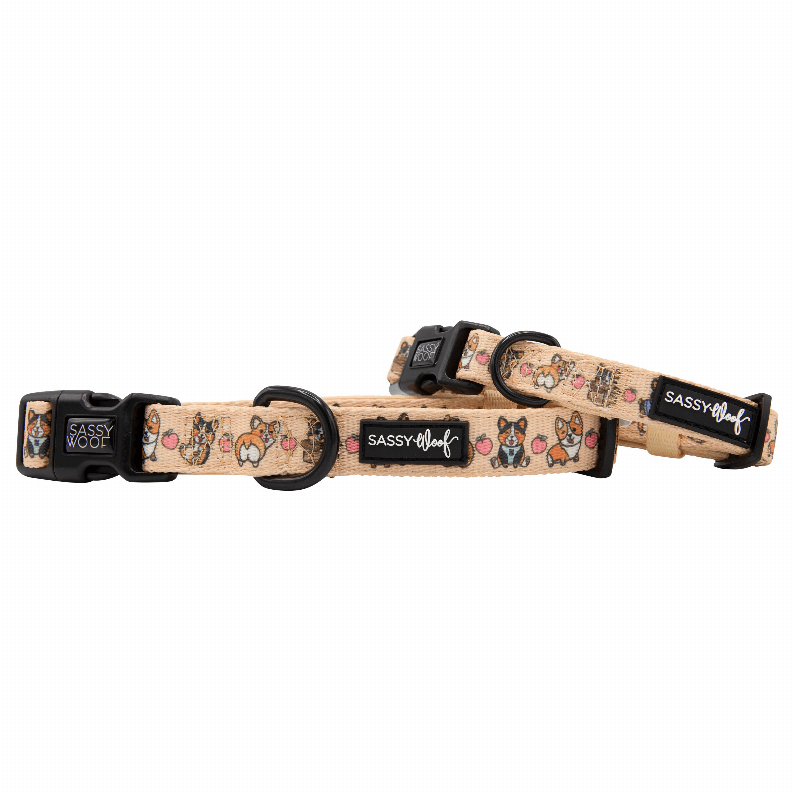 Unique Neoprene Adjustable Collars
