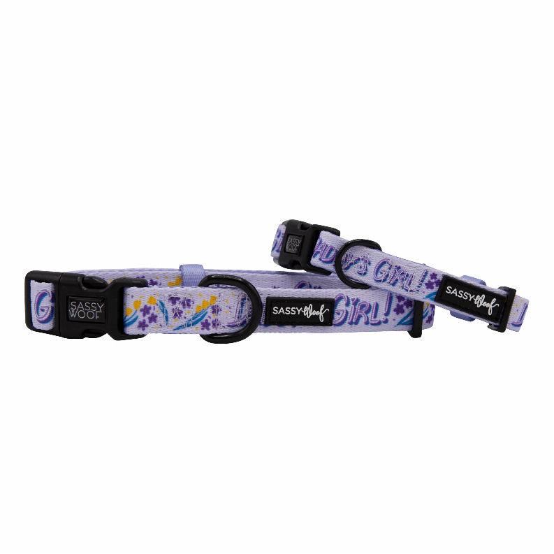Unique Neoprene Adjustable Collars