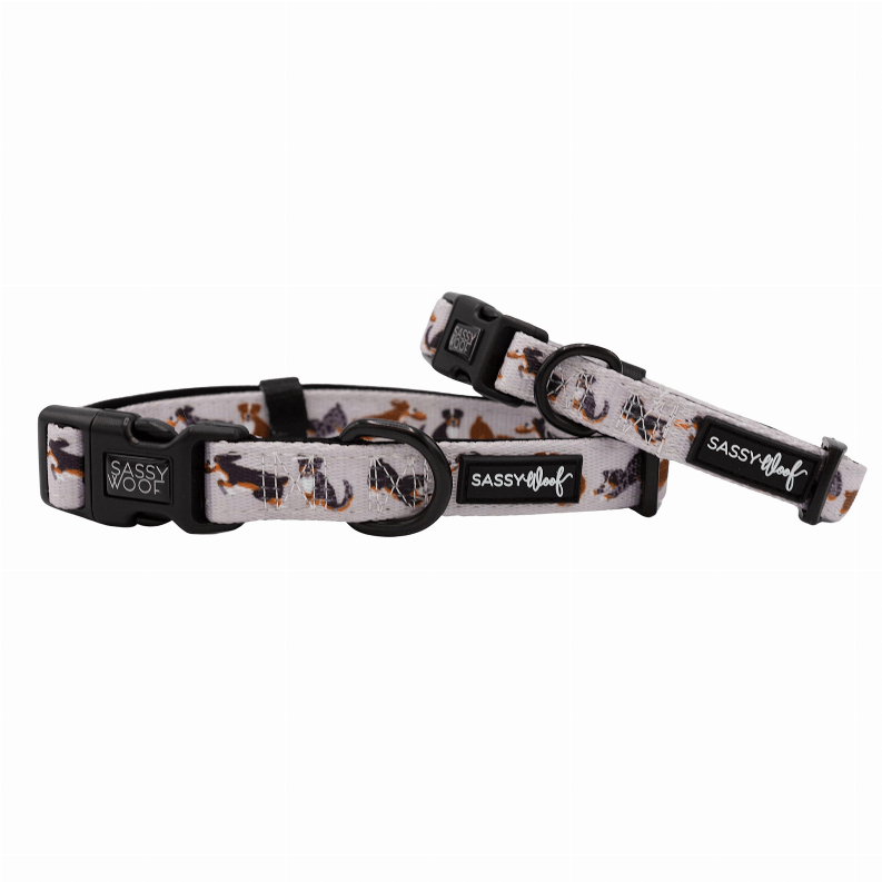 Unique Neoprene Adjustable Collars