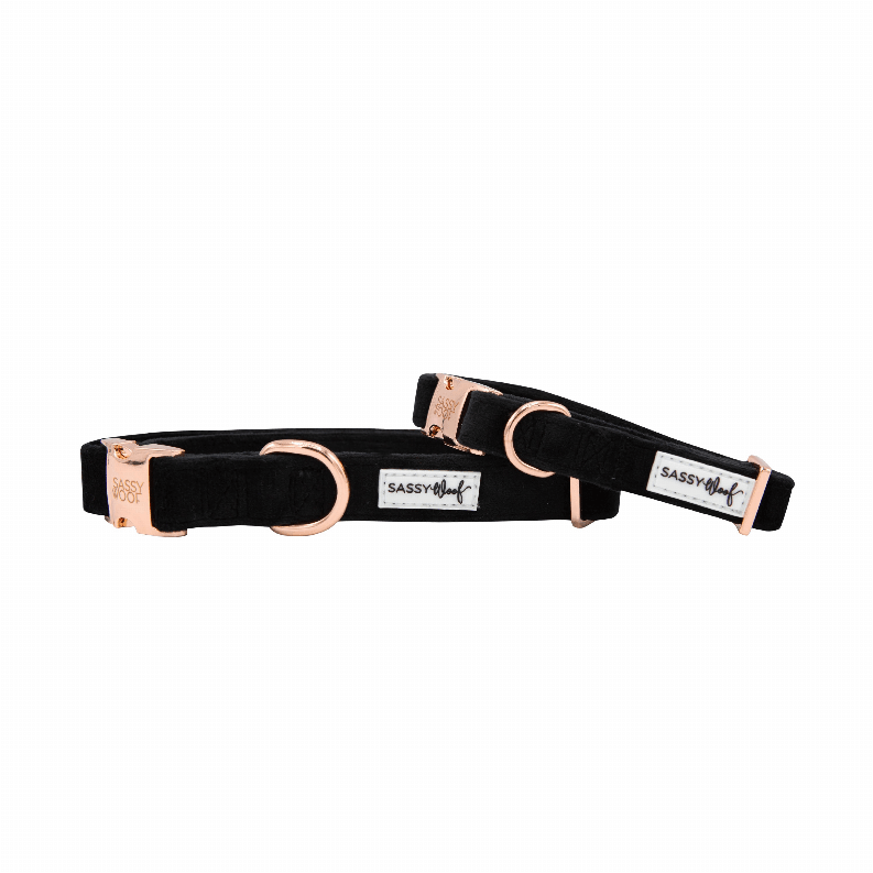 Unique Neoprene Adjustable Collars