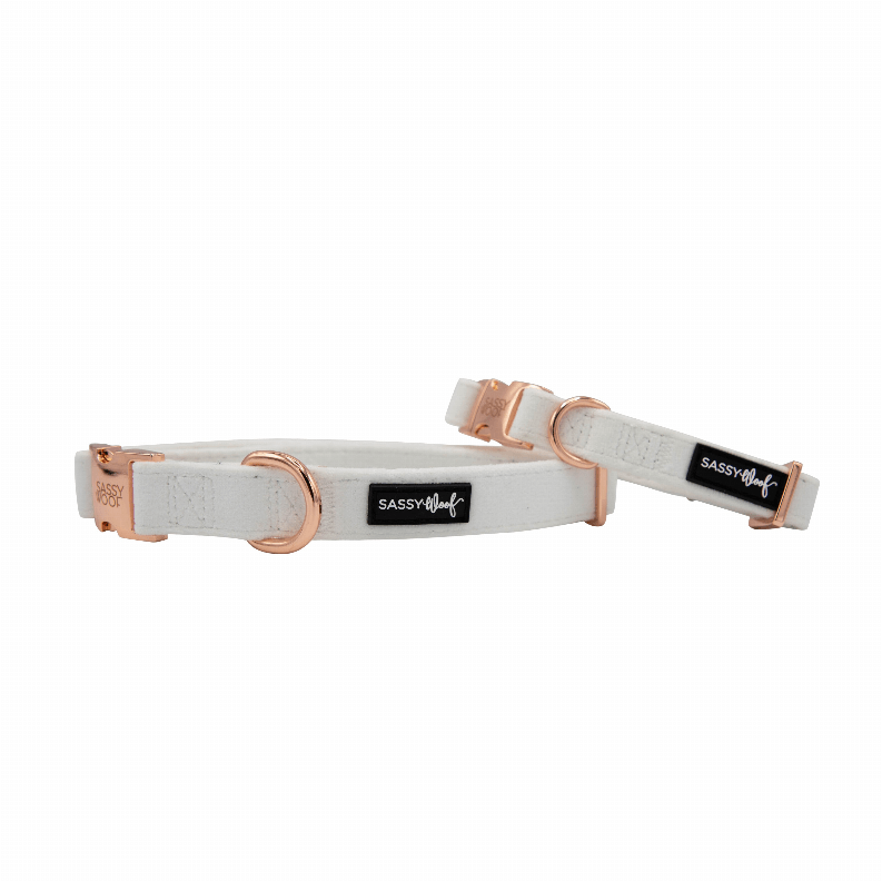 Unique Neoprene Adjustable Collars