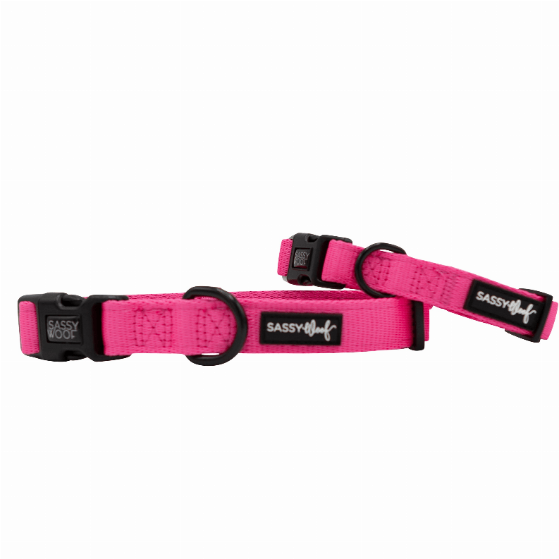 Unique Neoprene Adjustable Collars