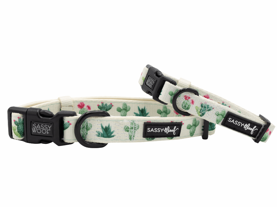 Unique Neoprene Adjustable Collars
