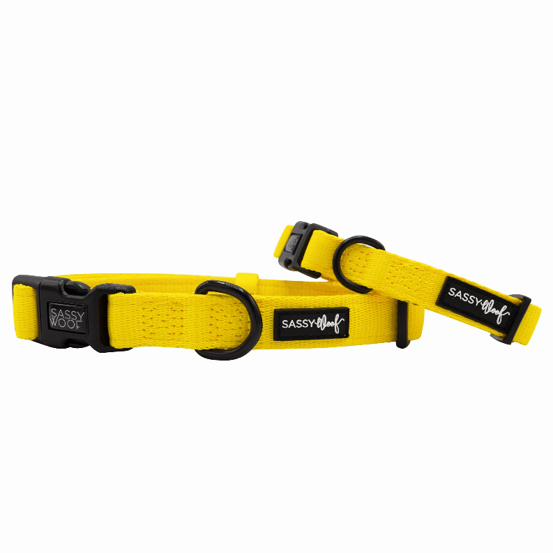 Unique Neoprene Adjustable Collars