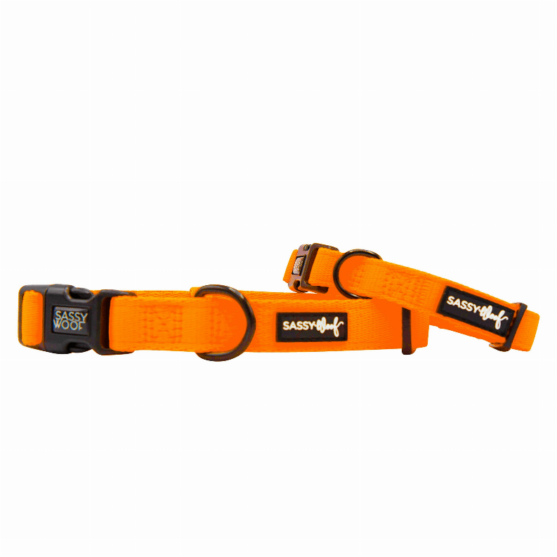 Unique Neoprene Adjustable Collars