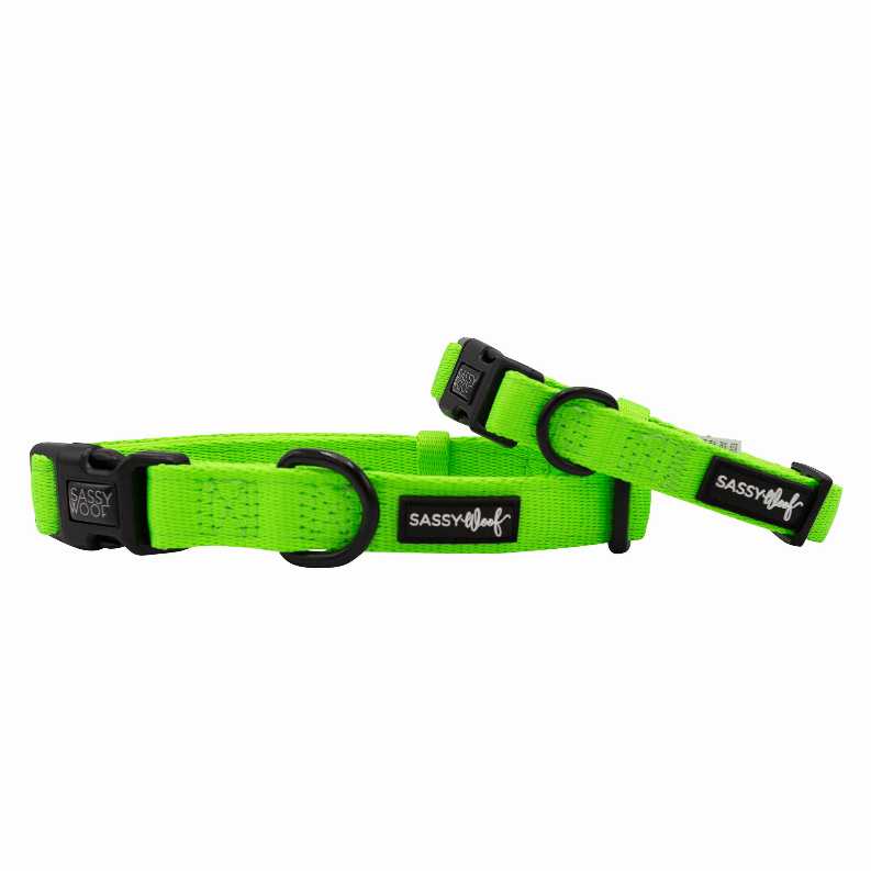 Unique Neoprene Adjustable Collars