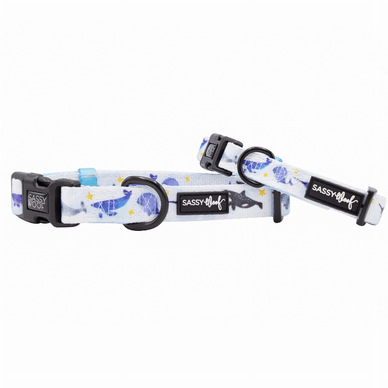 Unique Neoprene Adjustable Collars