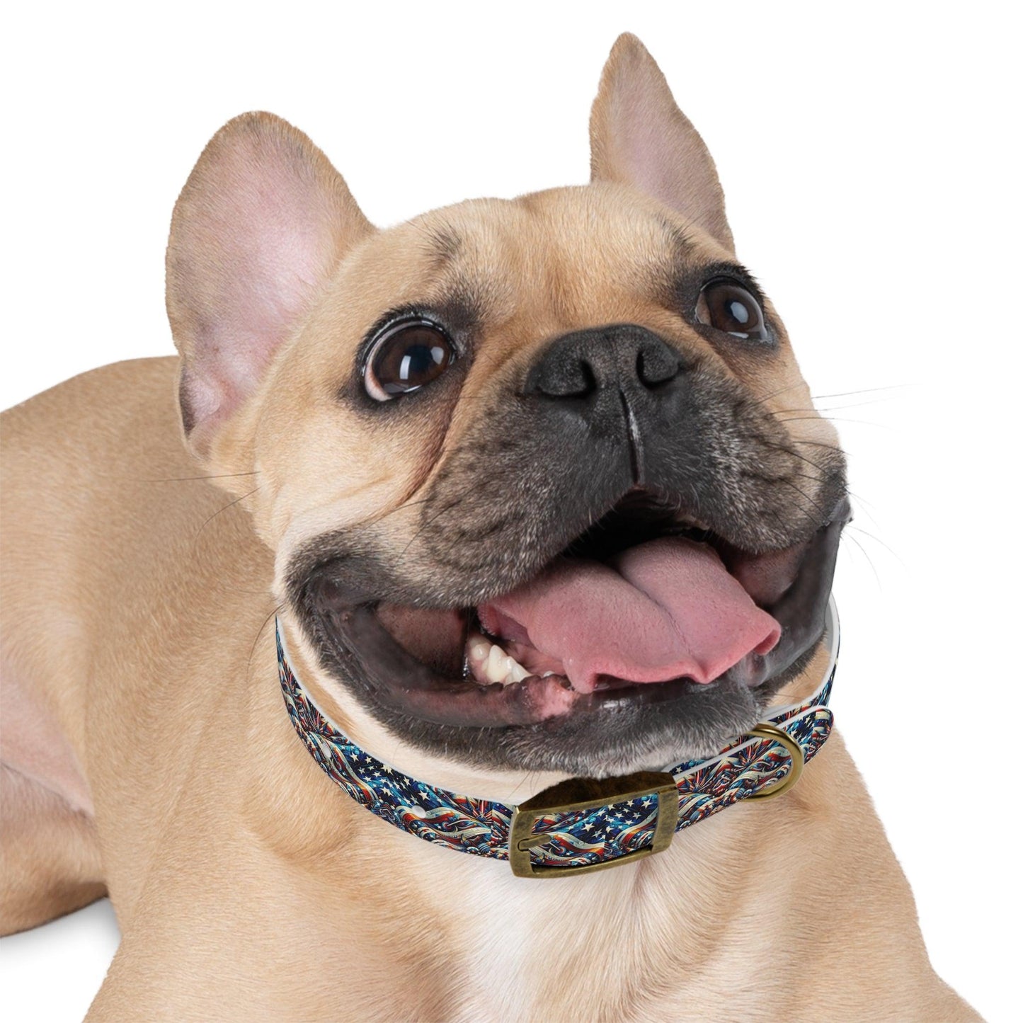 FlagWave Digital Collar