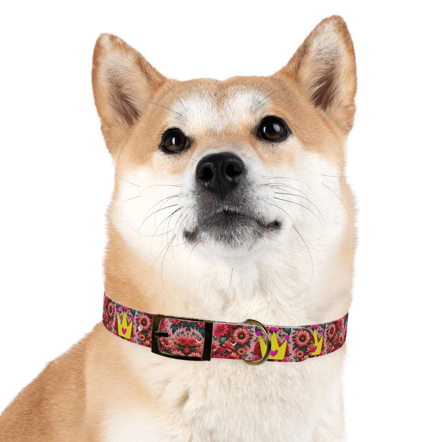 Faith's Floral Best Friends and Princess Dog Collar