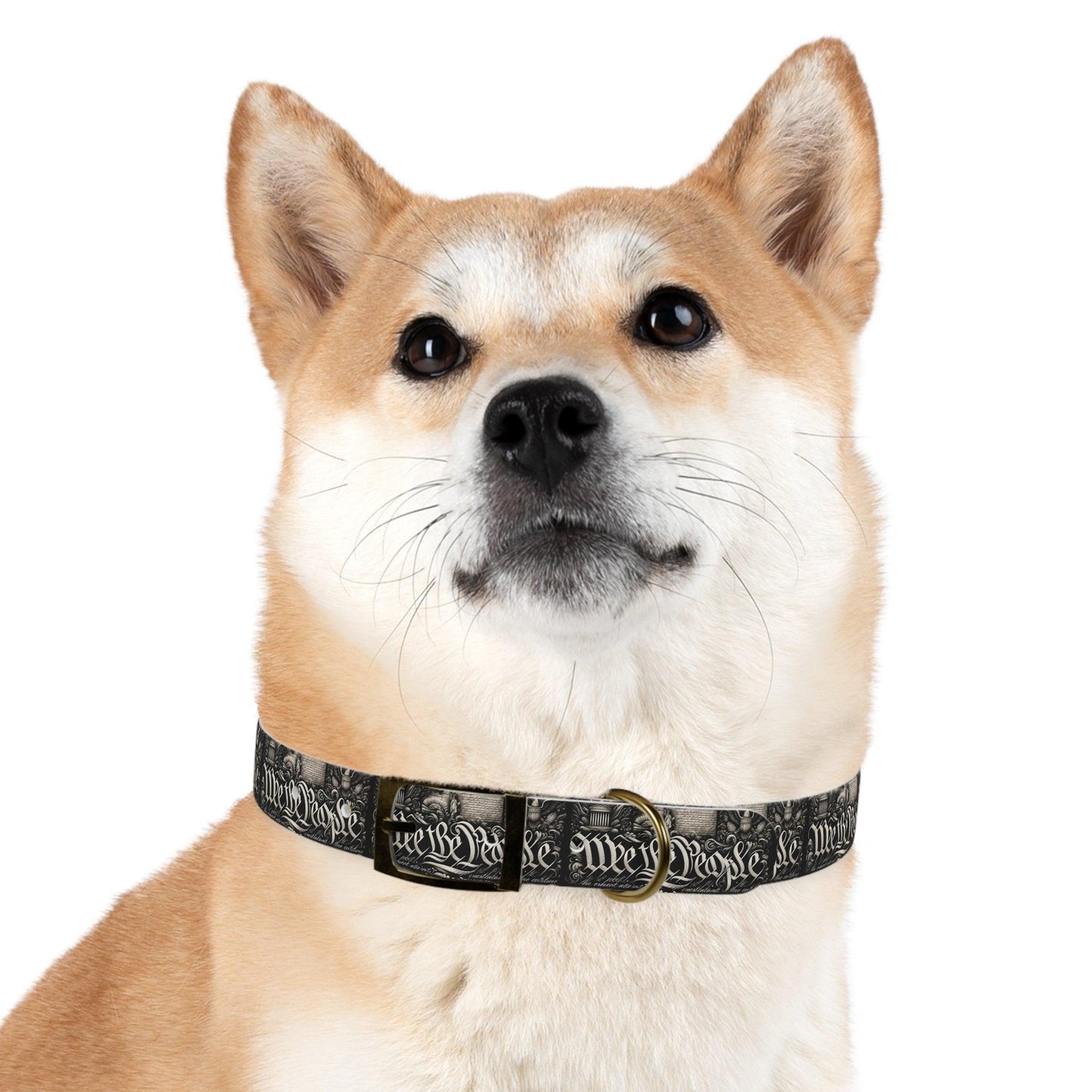 We The People Patriotic Dog Collar