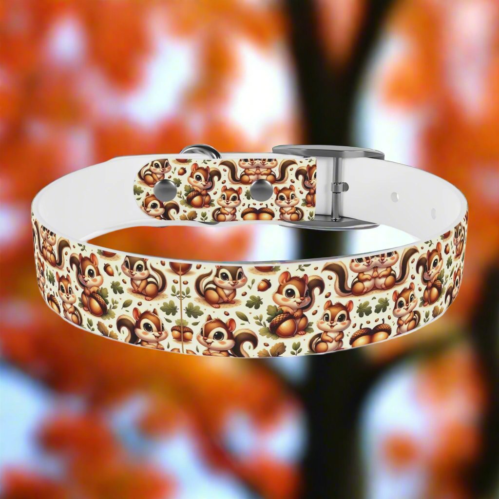 Squirrely Squirrel Dog Collar πΏοΈπ