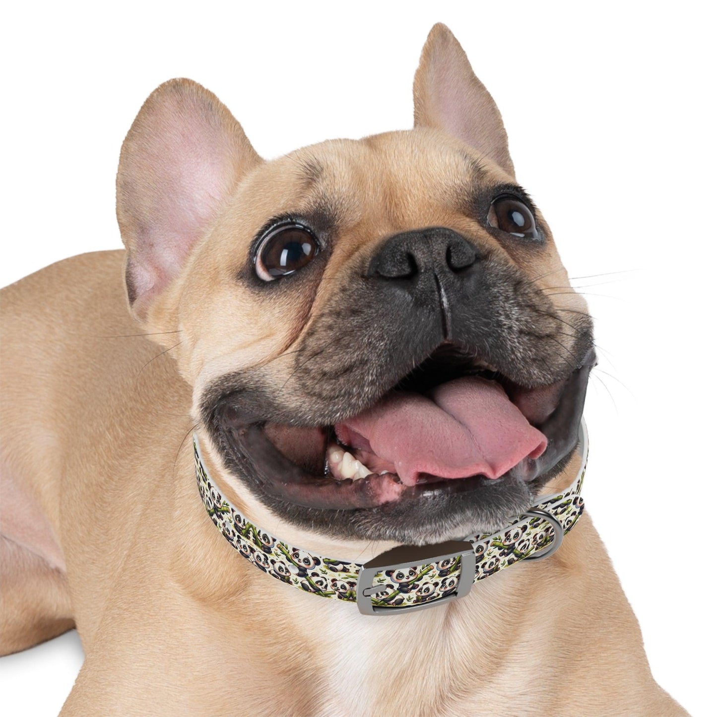 Panda-monium Dog Collar