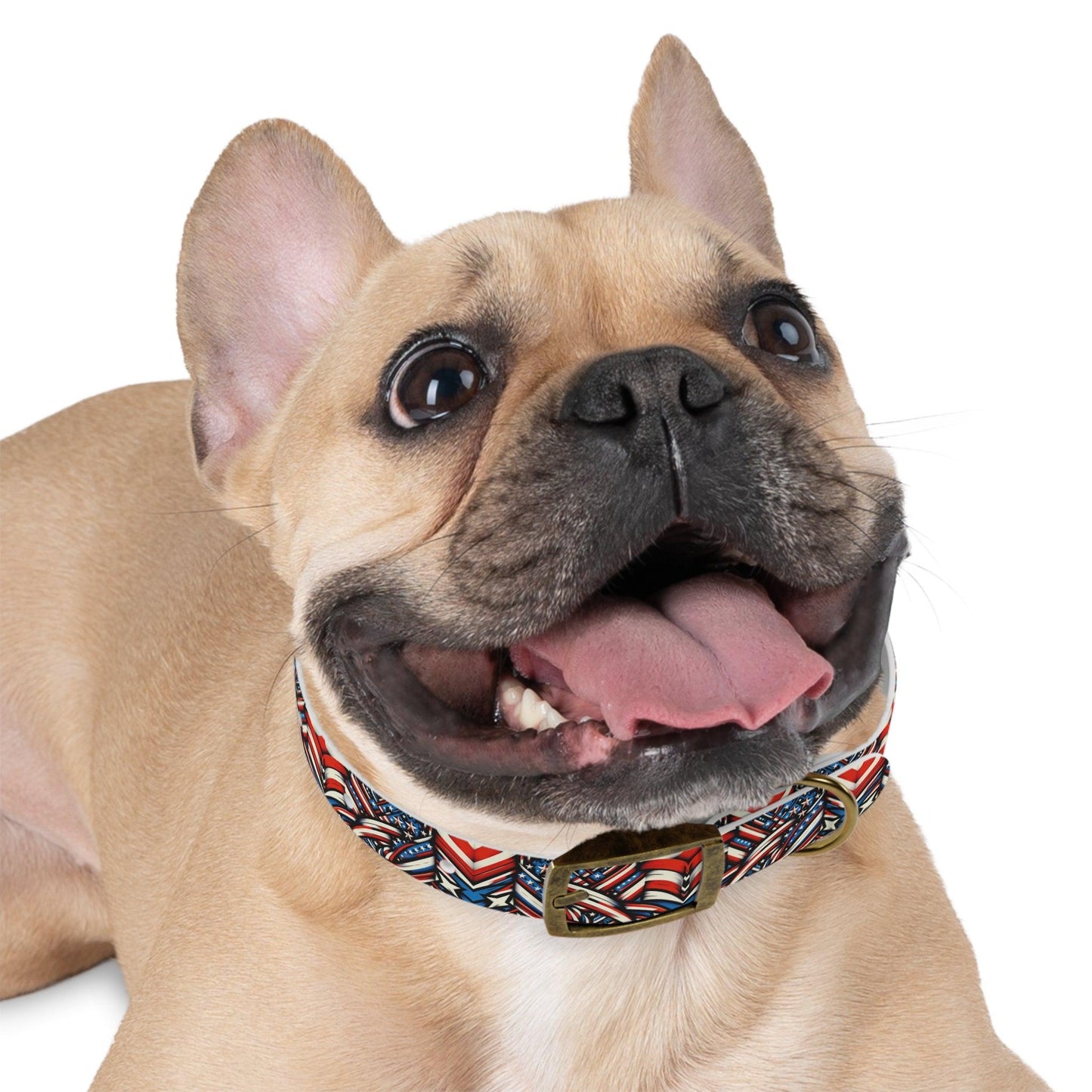 πΊπΈ Freedom Fang Collar