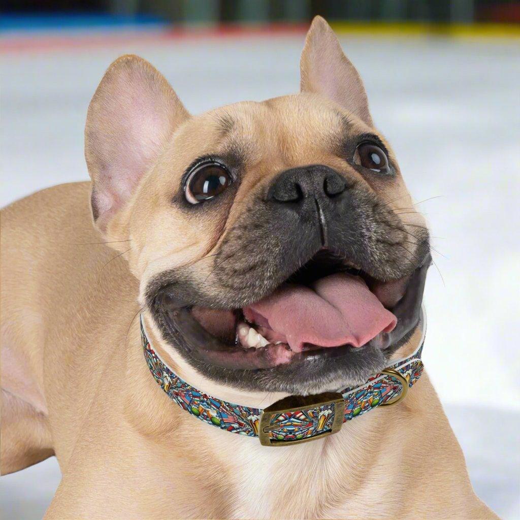 Puckin' & Puttin' USA Dog Collar πΎπΊπΈ