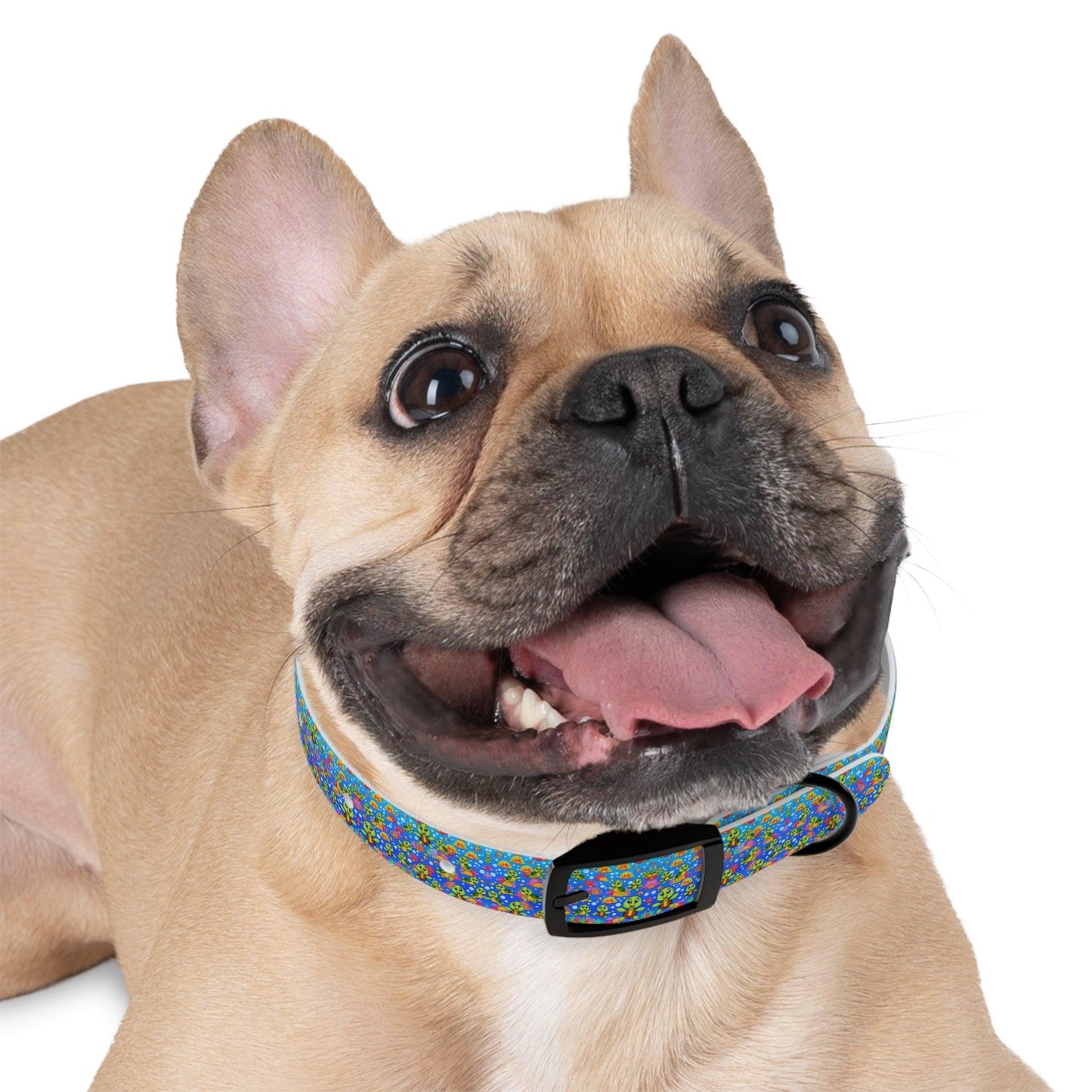 Turtle Duuuude Dog Collar