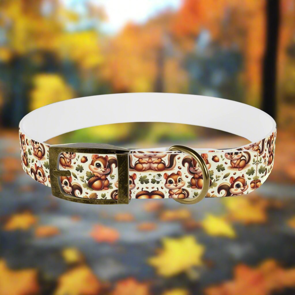 Squirrely Squirrel Dog Collar πΏοΈπ