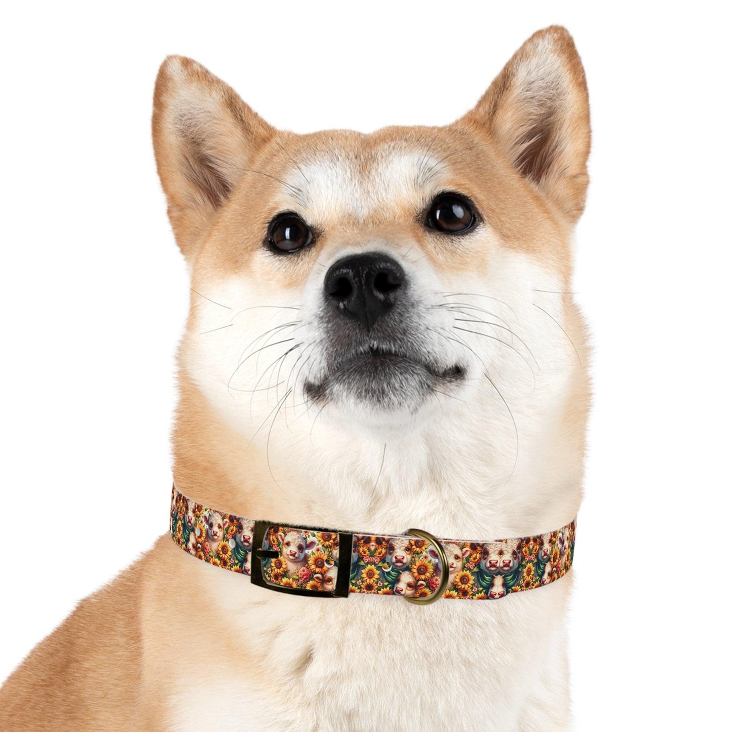 Moonicorns & Sunflowers Dog Collar
