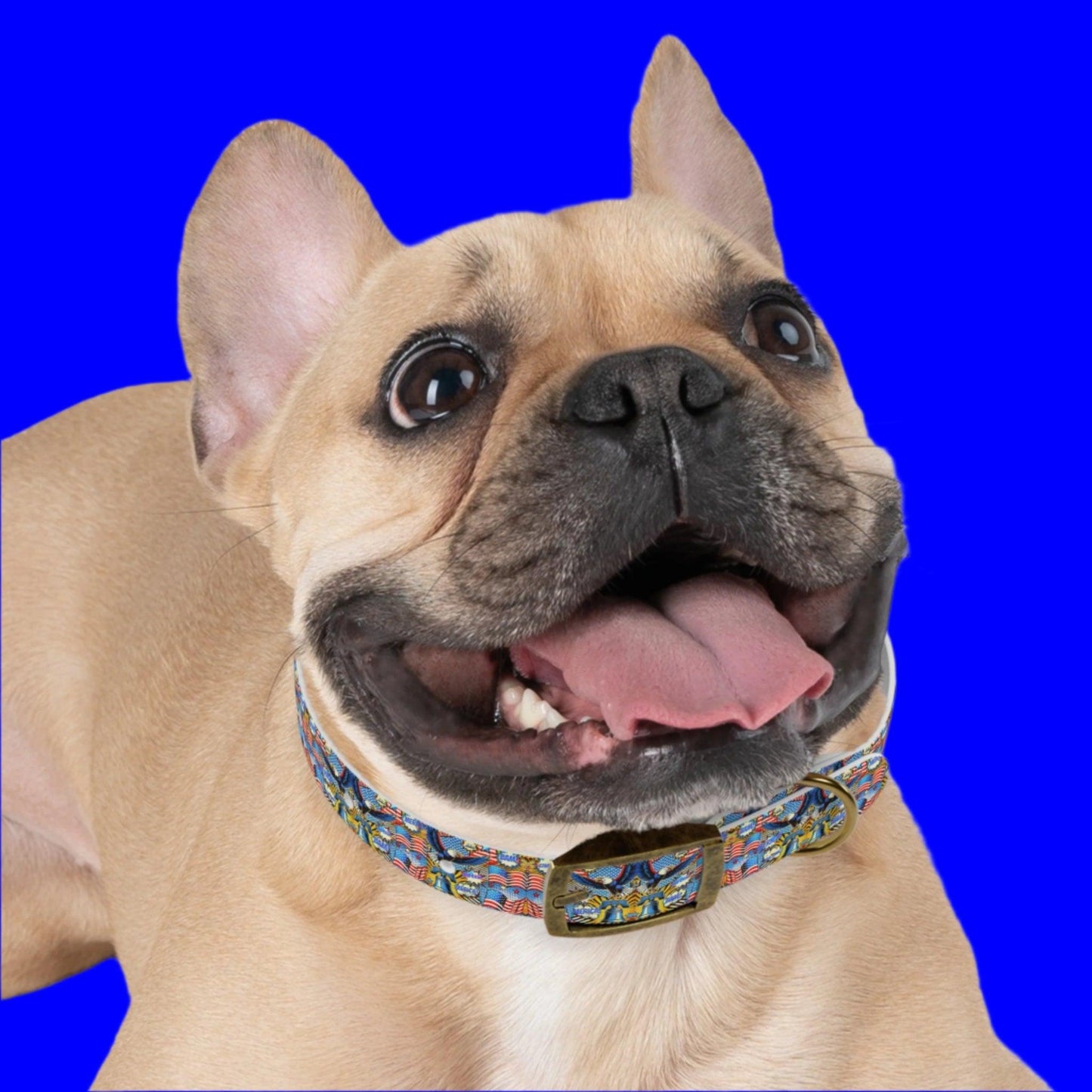 Retro Eagle & Liberty Bell Dog Collar