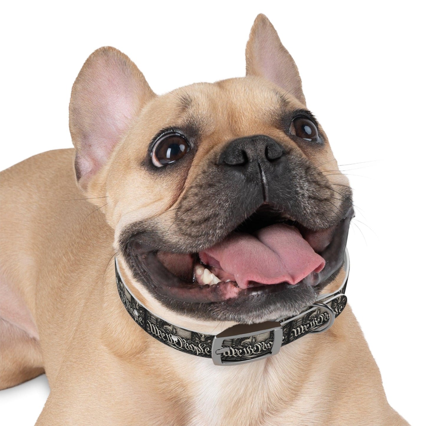We The People Patriotic Dog Collar