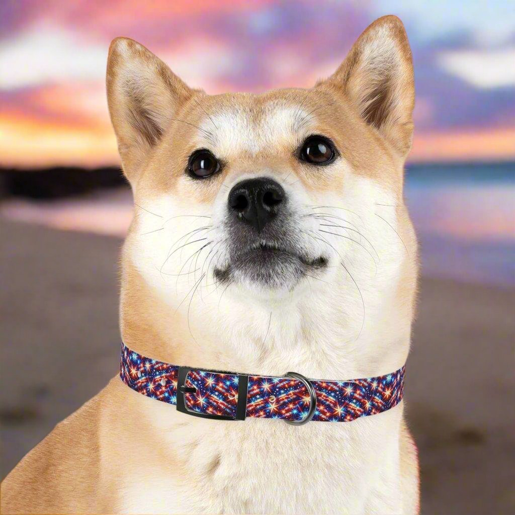 Snap "n" Strut Dog Collar ๐พโจ!