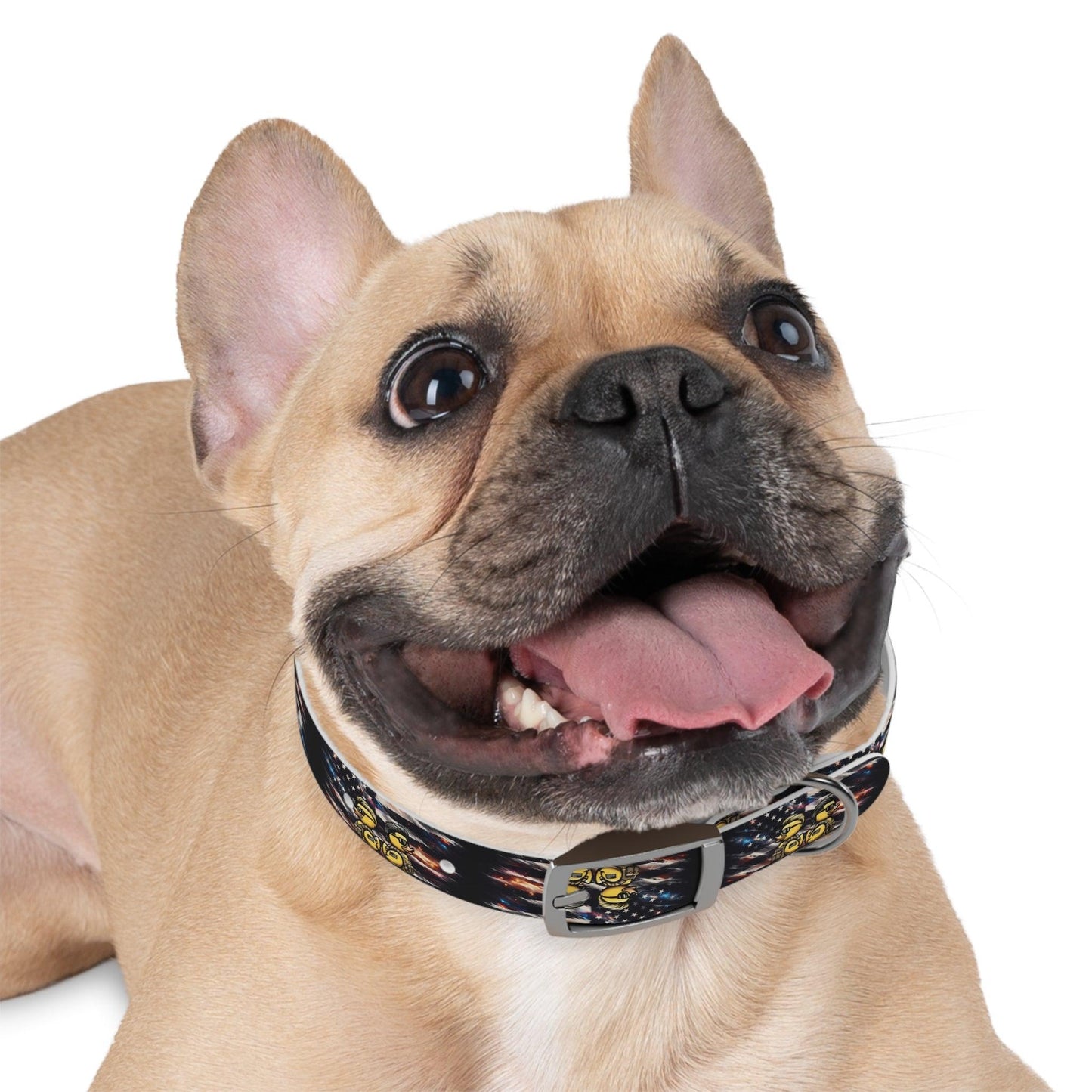 Quack Attack Dog Collar π¦π₯πΆ