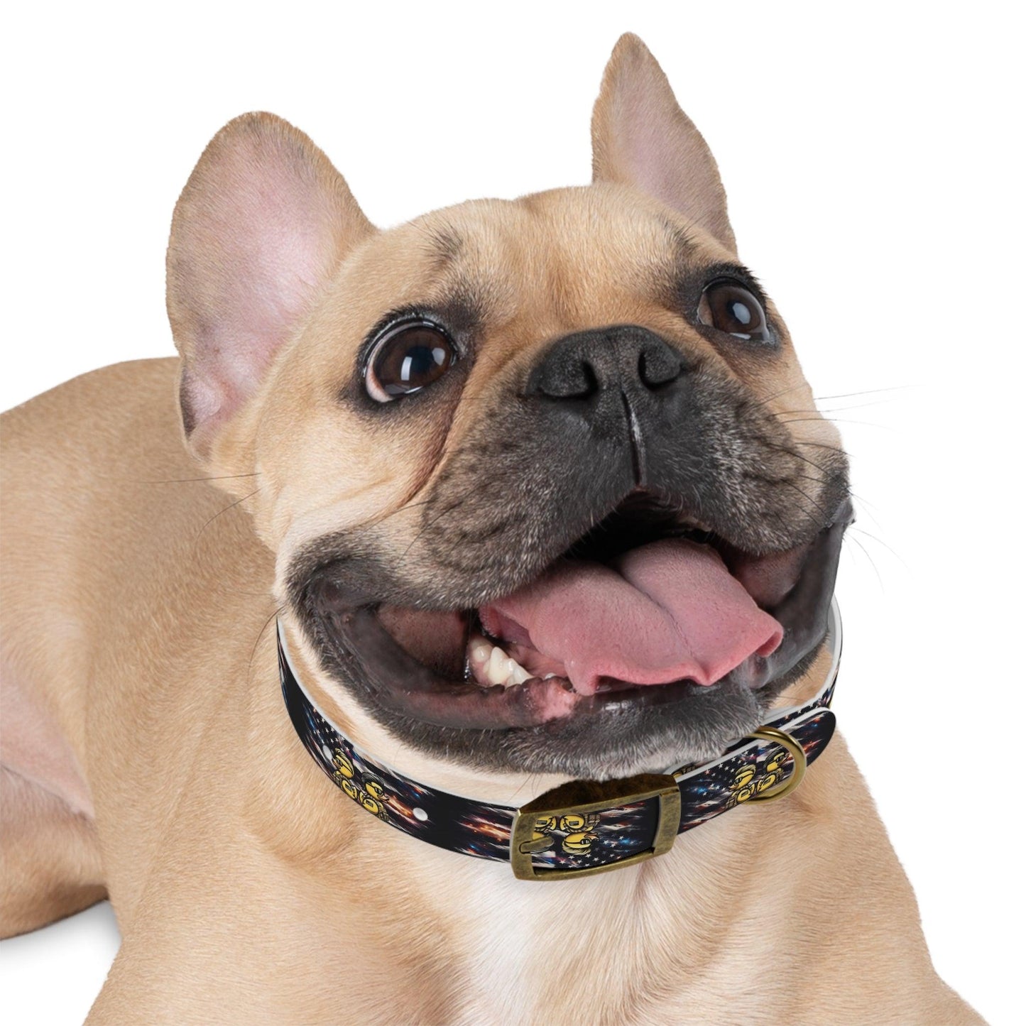 Quack Attack Dog Collar π¦π₯πΆ