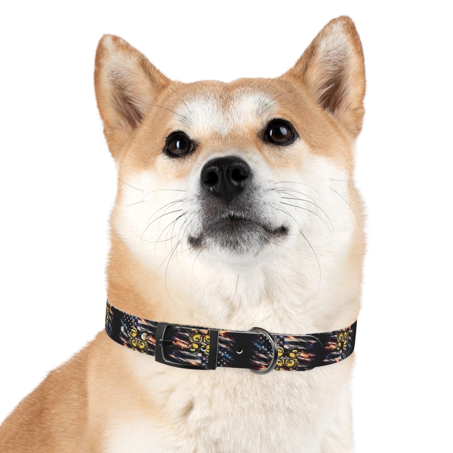 Quack Attack Dog Collar π¦π₯πΆ