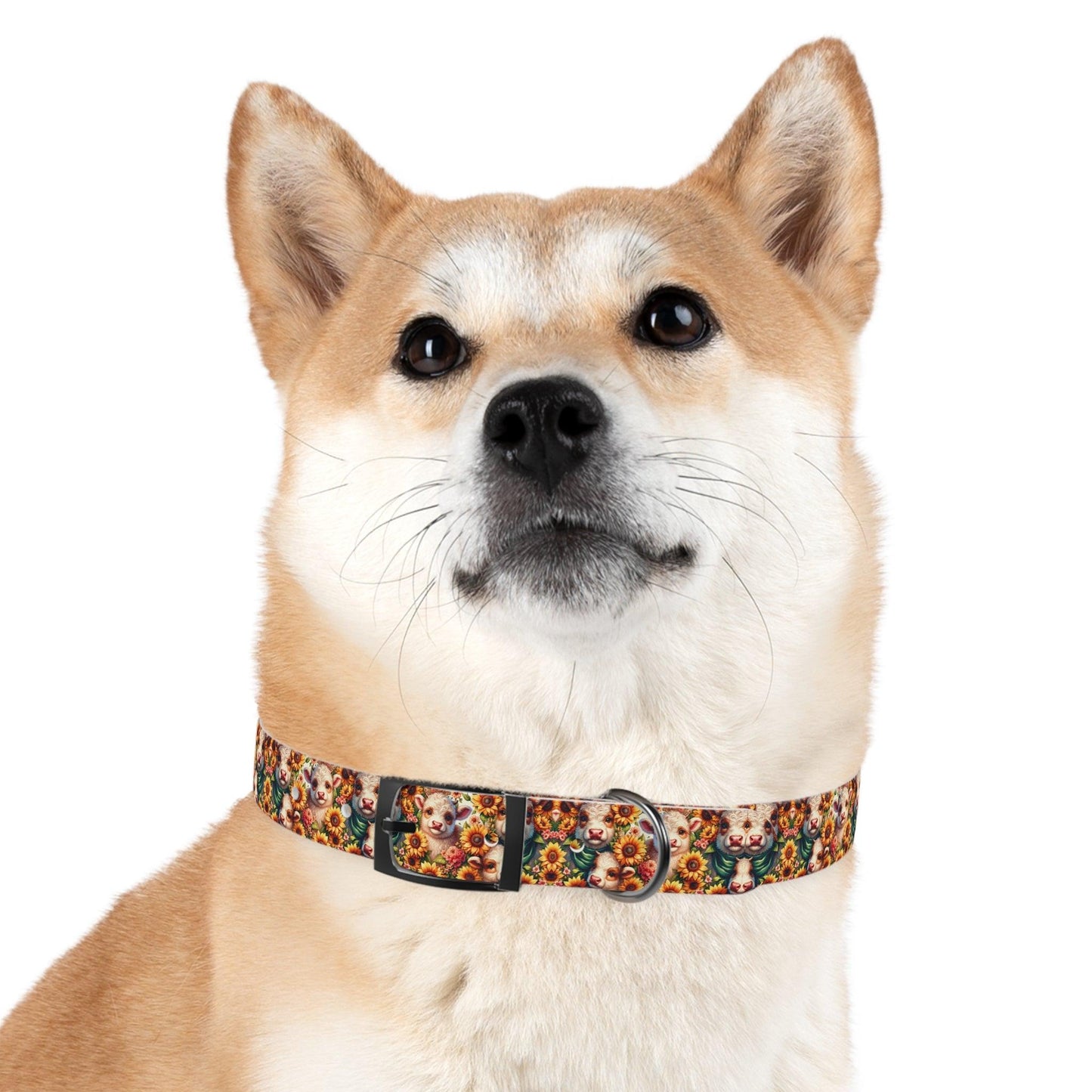 Moonicorns & Sunflowers Dog Collar