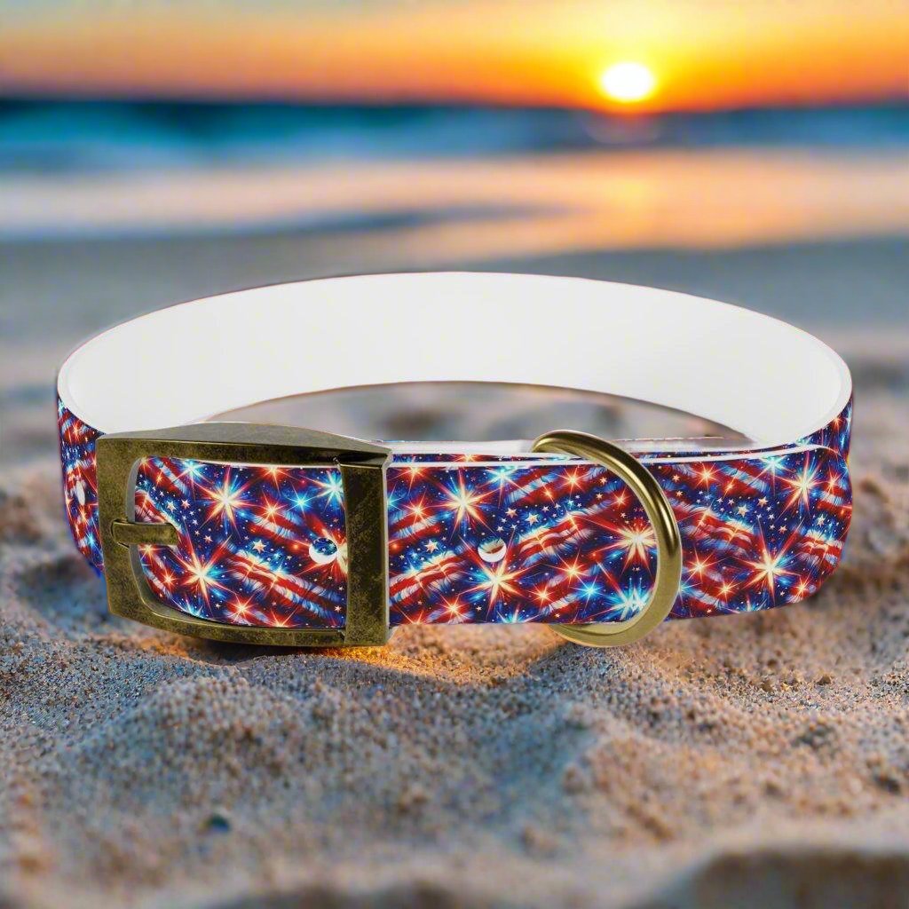 Snap "n" Strut Dog Collar ๐พโจ!