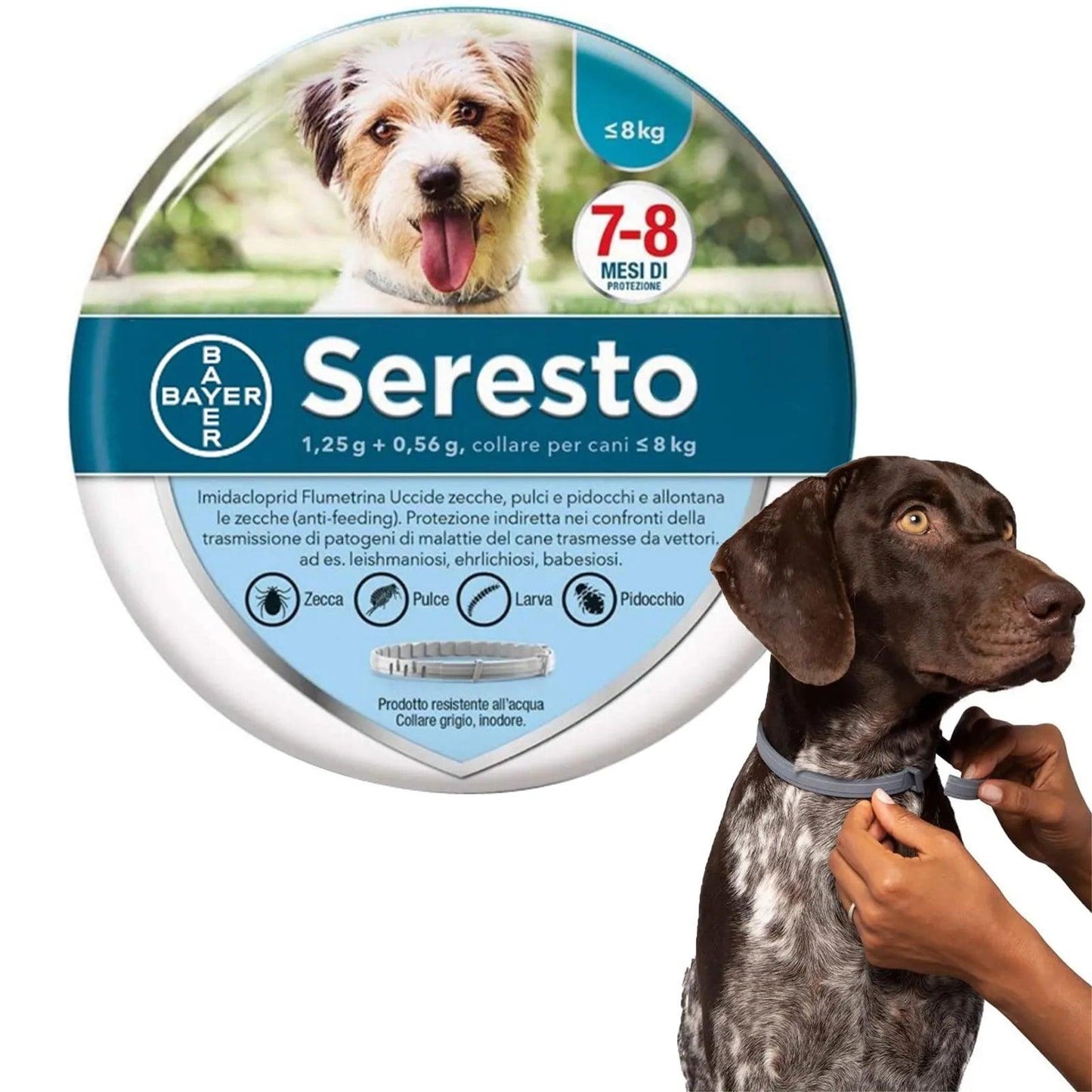 Dog anti Flea and Tick Collars,Pet 8Month Protection Adjustable Collar for Large Dog Puppy Cat, Dogs Accessories